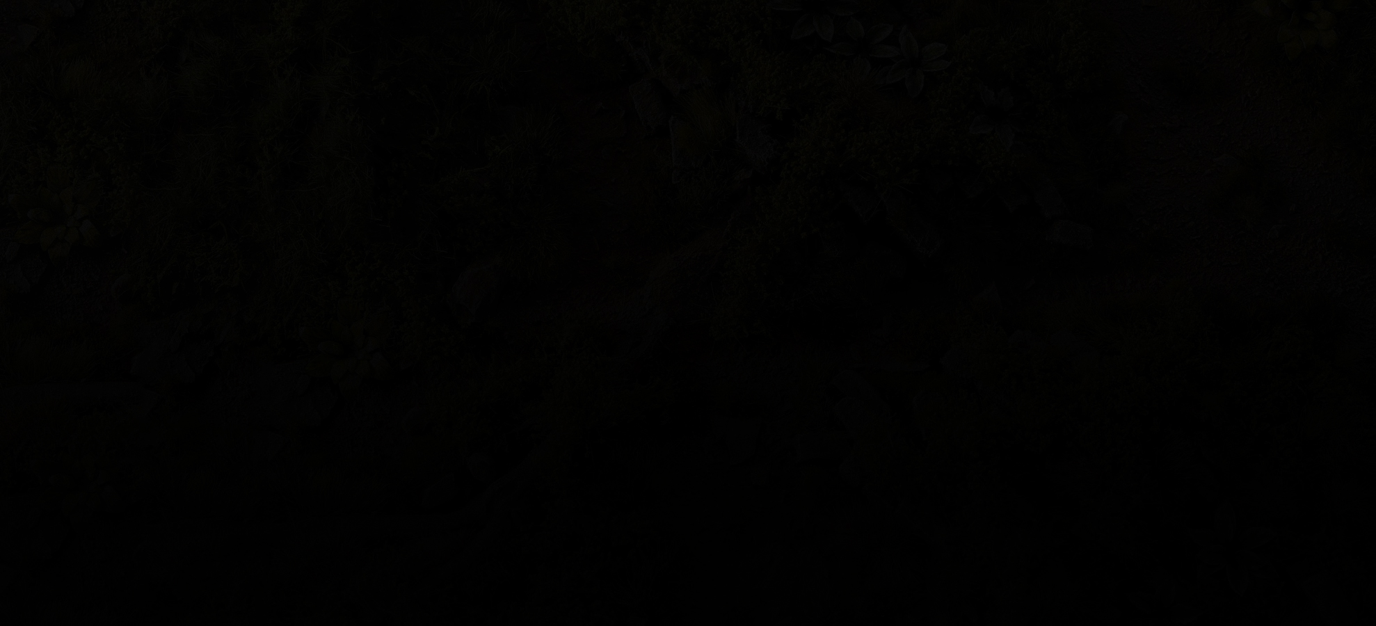 basing hero image dark grass